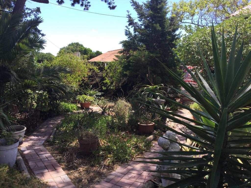 The Buddha Garden Kapstadt Exterior foto